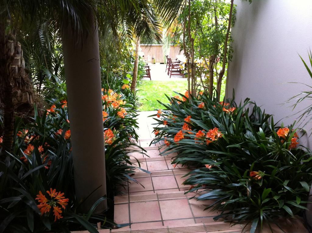 Palm Garden Apartment Auckland Exteriér fotografie
